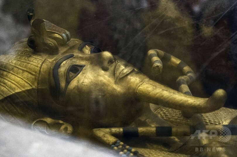伝説の美女の墓見つかるか 世紀の発見 に期待 エジプト 写真4枚 国際ニュース Afpbb News
