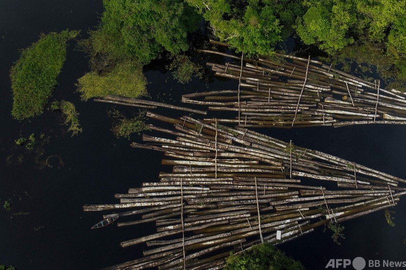 アマゾン木材の密輸に関与か ブラジル環境相を捜査 同省にも家宅捜索 写真3枚 国際ニュース Afpbb News