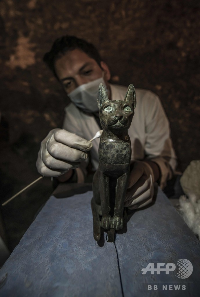 猫のミイラや銅像など発見、エジプト古代都市サッカラの遺跡