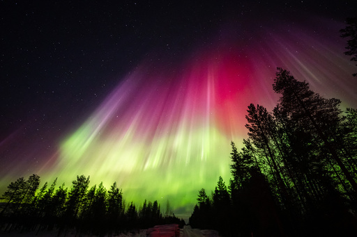 フィンランドの北極圏ラップランド、観測史上最も暑い夏 写真4枚 国際ニュース：AFPBB News