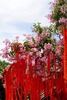 満開となったサルスベリの花（2023年8月2日撮影）。(c)Xinhua News