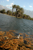 2008年3月27日、イエメンのソコトラ（Socotra）島のほとんど手付かずの自然。(c)AFP/KHALED FAZAA