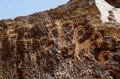イラク中部ホメイン郊外の丘陵地帯で発見された古代の岩壁画（2016年10月24日撮影）。(c)AFP/ATTA KENARE