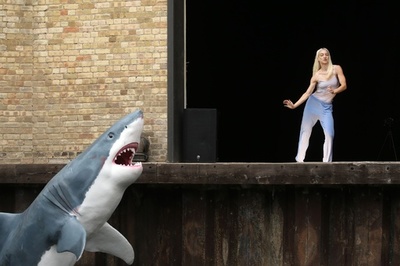 【今日の1枚】サメも飛び入り参加!? 運河で舞う