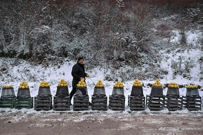 【今日の1枚】果物はいかが？  コソボ