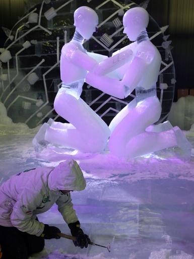 「永遠の氷の世界」へと誘う氷像、ドイツ