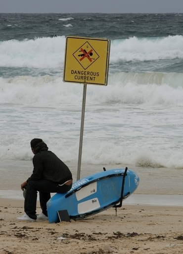 サメに腕を食いちぎられた男性、ヒルを使った手術で再接着に成功