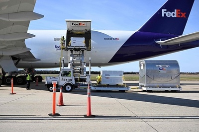 パンダ「メイシャン」一家が米国から中国に帰国