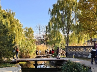 北京、昨年のPM2.5年平均濃度がこの10年で最低水準に