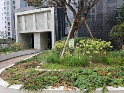 「緑が売り」のソウル高級マンション、でも枯れている…「写真と違う、だまされた」怒る入居者