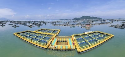 中国1～7月の水産物総生産量 前年比約4%増の3600万トン 