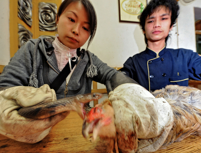 「毒蛇にかませて殺した鶏の肉」に非難の嵐、レストランは反論