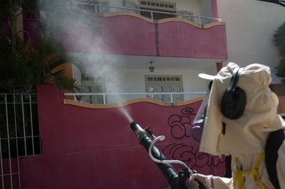 妊婦は五輪観戦自粛を、ジカ熱拡大でブラジル政府呼び掛け