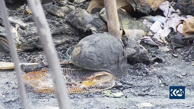 米軍、シリアで「親イラン民兵組織」を空爆 バイデン政権初の軍事行動