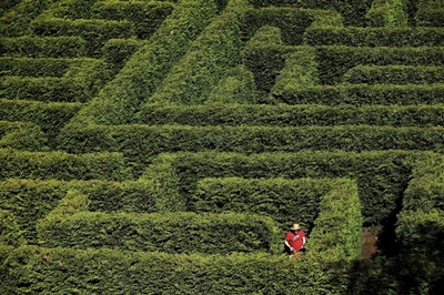 スペイン最大級の緑の迷路、5キロ歩くことも
