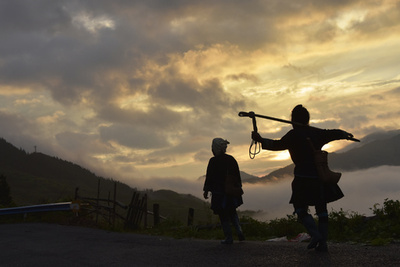 夏の棚田の農作業風景、貴州