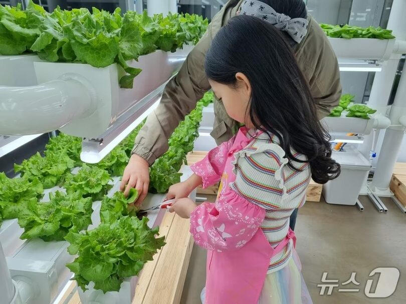 ソウル市提供(c)news1