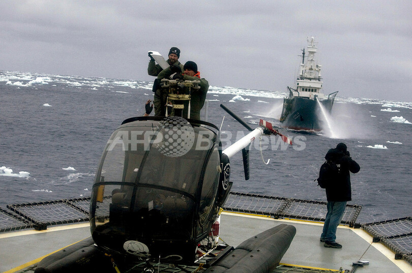 シー・シェパード、「音波攻撃は危険」と日本の捕鯨船を非難