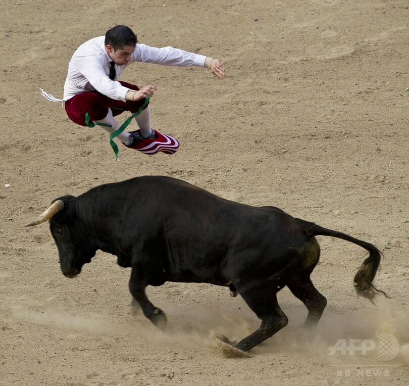 闘牛士たちの華麗な「かわし技」、コロンビア