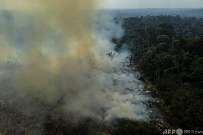 アマゾン先住民保護区、汚染吸収で医療費抑制に貢献