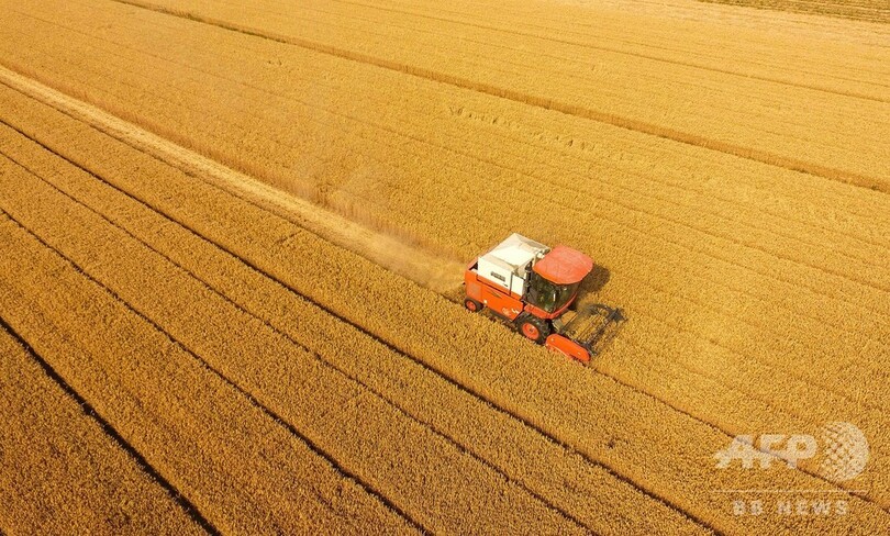 食品ロス削減に動く中国、実は「食料危機」に直面？