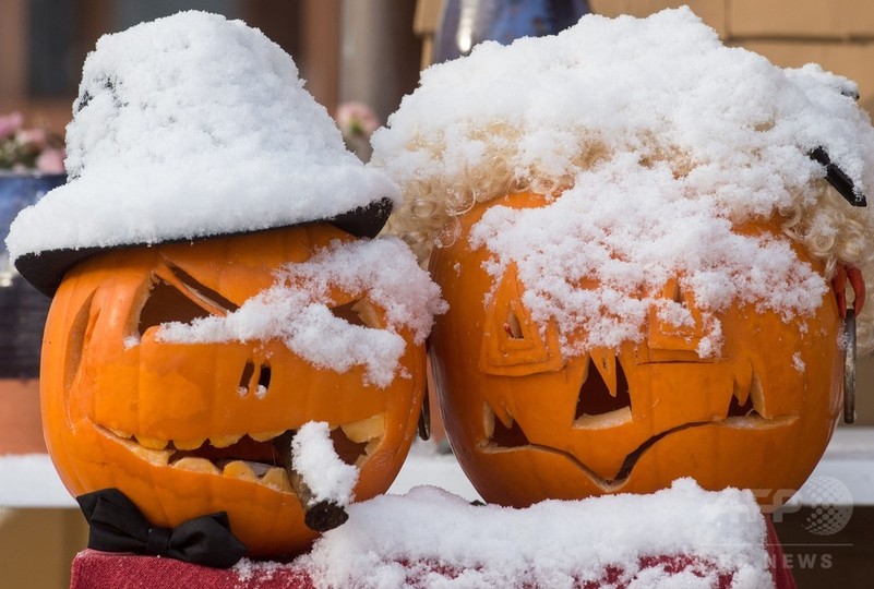 あっという間に冬景色 ドイツ西部で初雪 写真16枚 国際ニュース Afpbb News