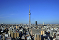 東京東部で建設中の東京スカイツリー（2011年11月17日撮影、資料写真）。(c)AFP/YOSHIKAZU TSUNO