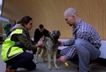 ハンガリー東部の町デブレツェンの刑務所で、犬の服従訓練の用意をする訓練師（2016年2月5日撮影）。(c)AFP/PETER KOHALMI