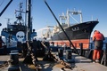 南極海（Southern Ocean）で、反捕鯨団体シー・シェパード（Sea Shepherd Conservation Society）の抗議船「スティーブ・アーウィン（Steve Irwin）号」（手前）に向けて放水する日本の調査捕鯨船「日新丸（Nisshin Maru）」（右、2013年2月25日撮影、同26日提供）。(c)AFP/SEA SHEPHERD AUSTRALIA/TIM WATTERS