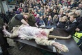 デンマーク中部オーデンセの動物園で、来園者の前で公開解剖されるライオンの死骸（2015年10月15日撮影）。(c)AFP/SCANPIX DENMARK/CLAUS FISKER