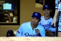 14MLBプレーオフ、ア・リーグ地区シリーズ（5回戦制）、カンザスシティ・ロイヤルズ（Kansas City Royals）対ロサンゼルス・エンゼルス・オブ・アナハイム（Los Angeles Angels of Anaheim）第3戦。ダグアウトで試合開始を待つカンザスシティ・ロイヤルズの青木宣親（Norichika Aoki、2014年10月5日撮影）。(c)AFP/Getty Images/Jamie Squire