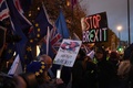 ロンドンの英議会前で、英国の欧州連合（EU）離脱に反対するデモを行う人々（2019年1月15日撮影）。(c)Paul ELLIS / AFP
