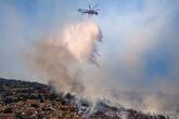 ギリシャ首都北西で火災、リゾート地に迫る 強風で消火活動は難航