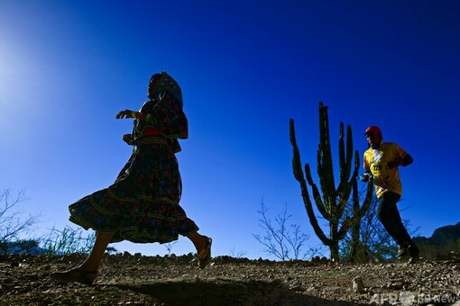 走る先住民」と一緒に山岳マラソン メキシコで大会開催 写真21枚 国際ニュース：AFPBB News