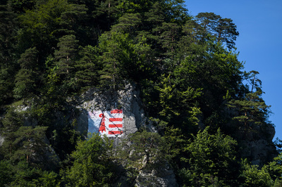 スイス独語圏の町、仏語圏に編入へ 住民投票で決定