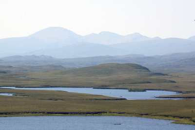 大増殖のウサギを殺処理へ、英スコットランドの島