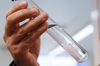 フランス連続レイプ事件、容疑者が双子でDNA判別できず