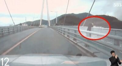 雨の中、橋の欄干の大学生、海に身を投じる直前…韓国ベテラン警官が30分間の説得、心をやわらげ