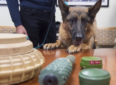 危険と隣り合わせ、レバノンの地雷探知犬が米首都訪問
