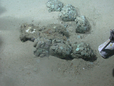 沈没船の財宝、所有権はスペインに 米裁判所