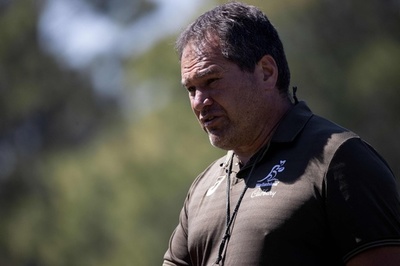 ラグビー、体ぶつける練習に制限指針 豪代表HCは疑問視