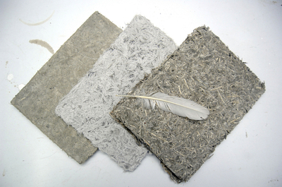 ニワトリの羽でできた合成板材、アジア建築界の未来担う