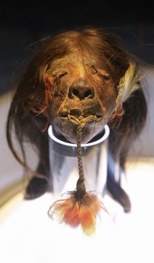 英「信じられない!」博物館、密林で発見のミイラ頭部など展示