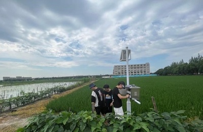 大学生が農村合宿でスマート農業をサポート 中国浙江省