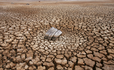 オーストラリアワイン、干ばつで生産量半減か