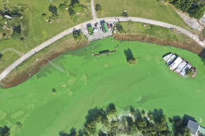 安徽省の巣湖 大量発生したアオコはまるで緑のペンキ