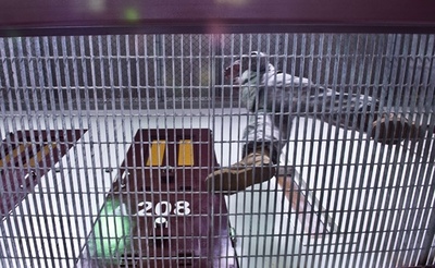 グアンタナモの米海軍基地、収容施設内などを公開