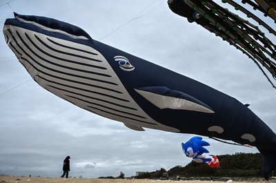 【今日の1枚】大空を泳ぐ海洋生物 フランス