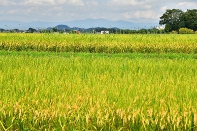 滋賀県甲良町のウエルネスツーリズムを紹介