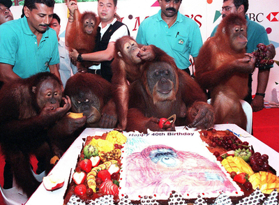 シンガポール動物園の有名オランウータンが死亡